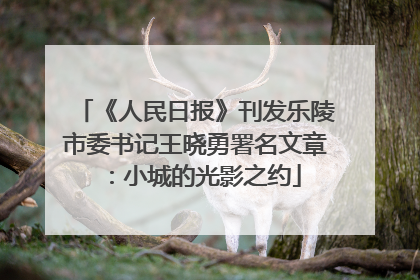 《人民日报》刊发乐陵市委书记王晓勇署名文章：小城的光影之约