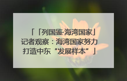 「列国鉴·海湾国家」记者观察：海湾国家努力打造中东“发展样本”