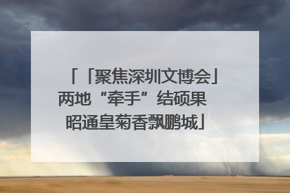 「聚焦深圳文博会」两地“牵手”结硕果 昭通皇菊香飘鹏城