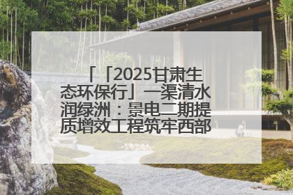 「2025甘肃生态环保行」一渠清水润绿洲：景电二期提质增效工程筑牢西部生态安全屏障