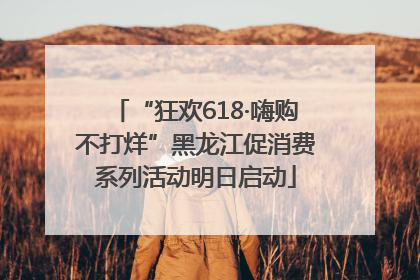 “狂欢618·嗨购不打烊”黑龙江促消费系列活动明日启动