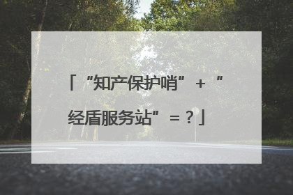 “知产保护哨”+“经盾服务站”=？