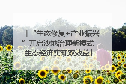“生态修复+产业振兴”开启沙地治理新模式 生态经济实现双效益