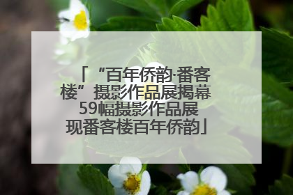 “百年侨韵·番客楼”摄影作品展揭幕 59幅摄影作品展现番客楼百年侨韵