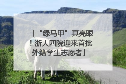 “绿马甲”真亮眼！浙大四院迎来首批外籍学生志愿者