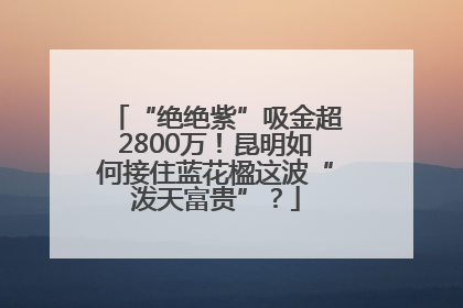 “绝绝紫”吸金超2800万！昆明如何接住蓝花楹这波“泼天富贵”？