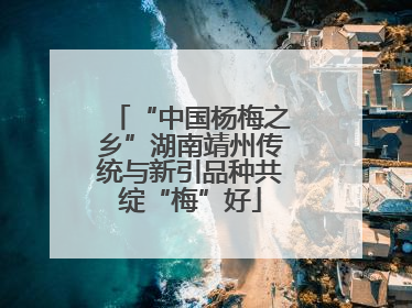 “中国杨梅之乡”湖南靖州传统与新引品种共绽“梅”好