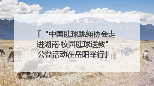 “中国毽球跳绳协会走进湖南·校园毽球送教”公益活动在岳阳举行