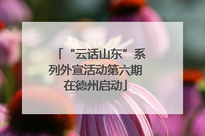 “云话山东”系列外宣活动第六期在德州启动