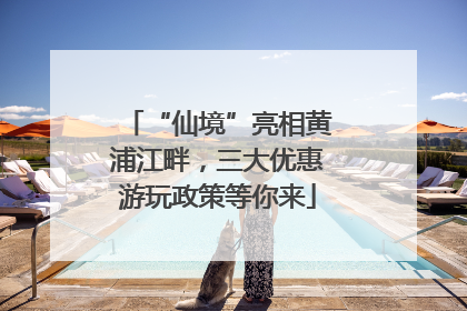“仙境”亮相黄浦江畔，三大优惠游玩政策等你来