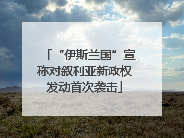 “伊斯兰国”宣称对叙利亚新政权发动首次袭击
