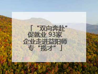“双向奔赴”促就业 93家企业走进益阳师专“揽才”