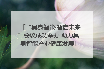 “具身智能·智启未来”会议成功举办 助力具身智能产业健康发展