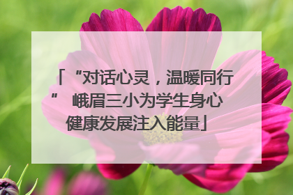 “对话心灵，温暖同行” 峨眉三小为学生身心健康发展注入能量
