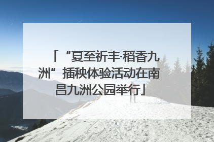 “夏至祈丰·稻香九洲”插秧体验活动在南昌九洲公园举行