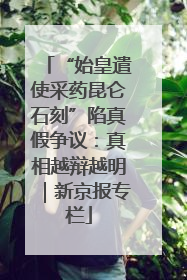 “始皇遣使采药昆仑石刻”陷真假争议：真相越辩越明｜新京报专栏