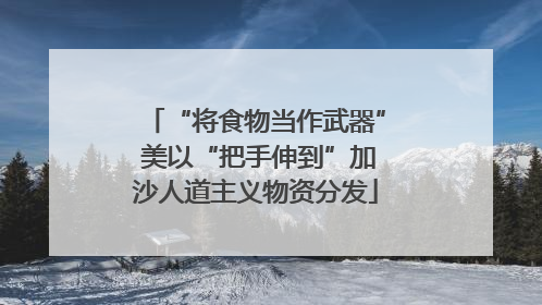 “将食物当作武器” 美以“把手伸到”加沙人道主义物资分发