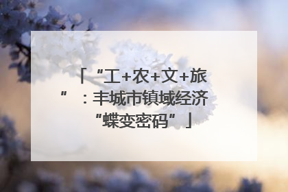 “工+农+文+旅”：丰城市镇域经济“蝶变密码”