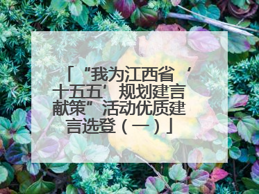“我为江西省‘十五五’规划建言献策”活动优质建言选登（一）