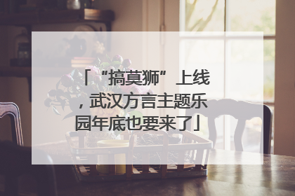 “搞莫狮”上线，武汉方言主题乐园年底也要来了