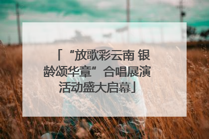“放歌彩云南 银龄颂华章”合唱展演活动盛大启幕