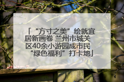 “方寸之美”绘就宜居新画卷 兰州市城关区40余小游园成市民“绿色福利”打卡地