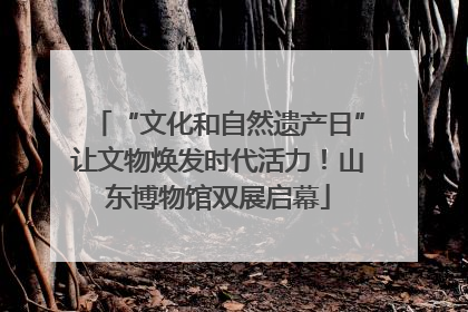 “文化和自然遗产日”让文物焕发时代活力！山东博物馆双展启幕