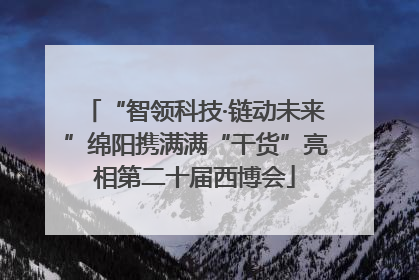 “智领科技·链动未来”绵阳携满满“干货”亮相第二十届西博会