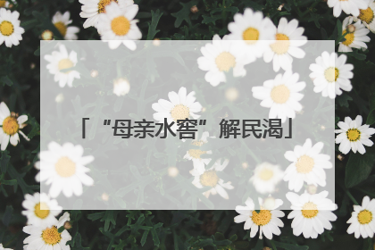 “母亲水窖”解民渴