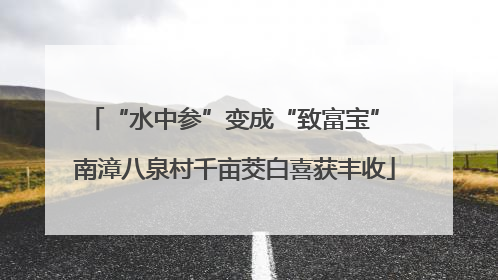“水中参”变成“致富宝” 南漳八泉村千亩茭白喜获丰收