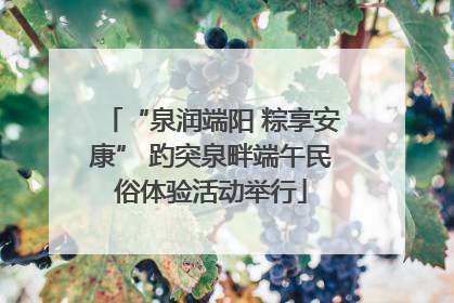 “泉润端阳 粽享安康” 趵突泉畔端午民俗体验活动举行