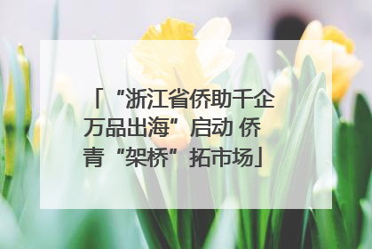 “浙江省侨助千企万品出海”启动 侨青“架桥”拓市场