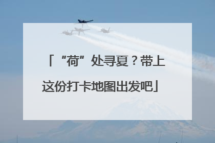 “荷”处寻夏？带上这份打卡地图出发吧