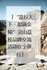 “荔行天下・甜满金陵”灵山荔枝品牌交流活动在宁举行