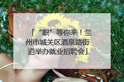 “职”等你来！兰州市城关区酒泉路街道举办就业招聘会