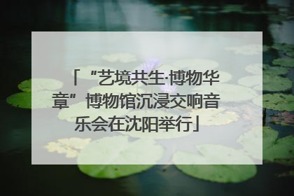 “艺境共生·博物华章”博物馆沉浸交响音乐会在沈阳举行