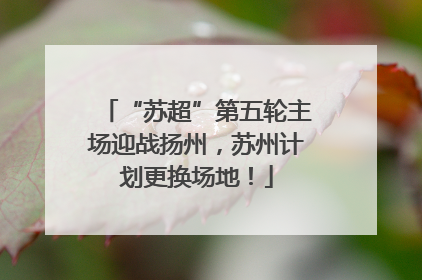 “苏超”第五轮主场迎战扬州，苏州计划更换场地！