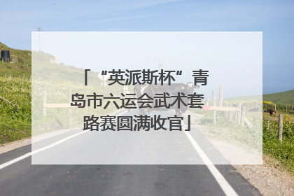 “英派斯杯”青岛市六运会武术套路赛圆满收官