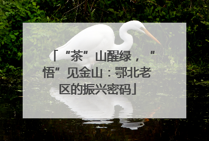 “茶”山醒绿，“悟”见金山：鄂北老区的振兴密码