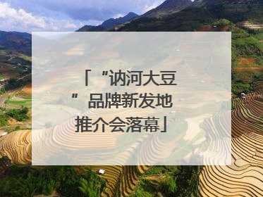 “讷河大豆”品牌新发地推介会落幕