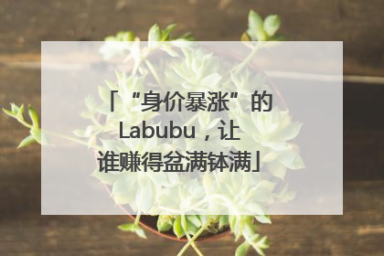 “身价暴涨”的Labubu，让谁赚得盆满钵满