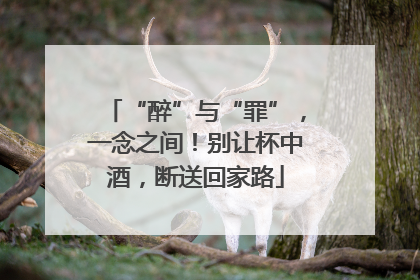 “醉”与“罪”，一念之间！别让杯中酒，断送回家路