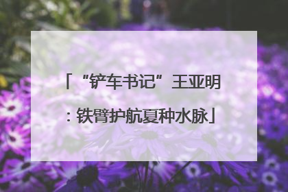 “铲车书记”王亚明：铁臂护航夏种水脉
