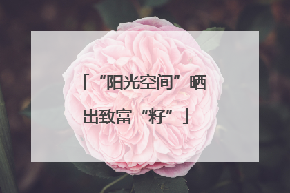 “阳光空间”晒出致富“籽”