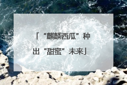 “麒麟西瓜”种出“甜蜜”未来