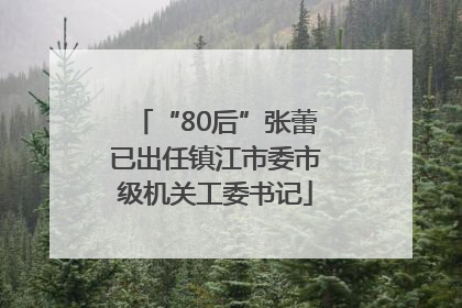 “80后”张蕾已出任镇江市委市级机关工委书记