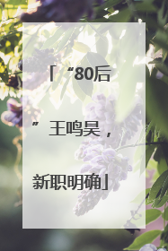 “80后”王鸣昊，新职明确
