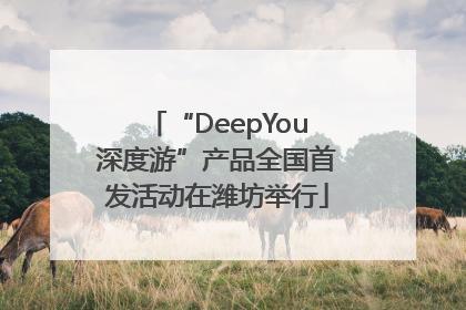“DeepYou深度游”产品全国首发活动在潍坊举行