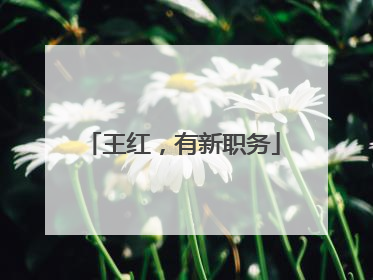 王红，有新职务
