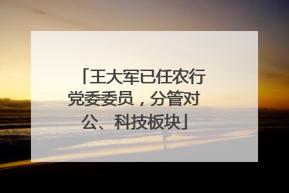 王大军已任农行党委委员，分管对公、科技板块